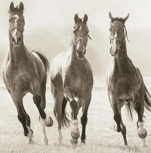 Classy Art The Young Ones by Lars Van De Goor Wall Art-1