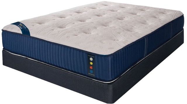 Spring Air® Four Seasons Deer Valley 14" Wrapped Coil Firm Tight Top Full Mattress-0