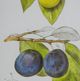 A & B Home 2-Piece Botanical Wall Art Set-3