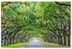 YHD Savannah Wall Art-0