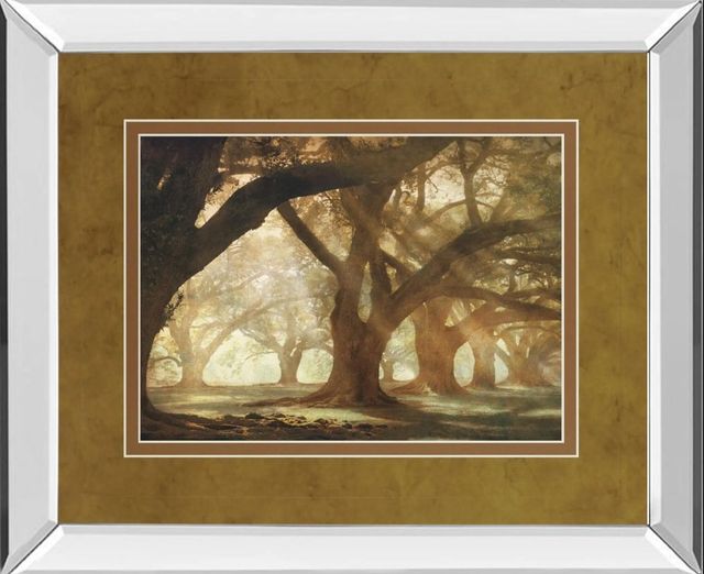 Classy Art Oak Alley Morning Light by William Guion Mirror Framed Wall Art-0
