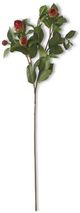 K & K Interiors Red 28 Inch 5 Bud Peony Stem-0