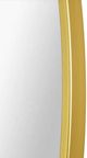 Renwil® Fragoso Powder Coated Gold Mirror-3