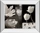 Classy Living Dennis Frates Summer Garden Il 26"W Wall Art-0