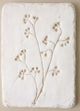 Magnolia Home by Joanna Gaines Pressed Flower Berries Plaque-0
