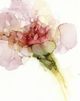 Classy Living Jennifer Goldberger Flower Passion II Wall Art-2