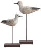 Crestview Collection Coastal Bird 2-Piece White Statue Set-0