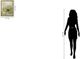 Classy Living Creative Gold Secret Storage Wall Art-2