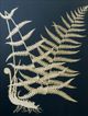 Stylecraft Beige/Green Wall Art-1