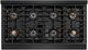 ZLINE Paramount Series Autograph Edition 48" Black Stainless Steel Pro Style Dual Fuel Range with Champagne Bronze Accents -2