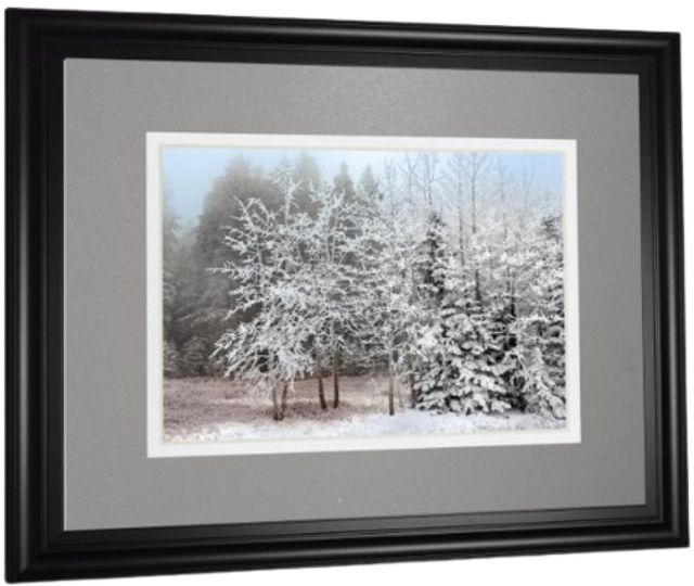 Classy Living Mike Jone Frosty Morning Wall Art-3