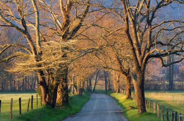 Classy Art Sunset Path by Jimmy’z Wall Art-0