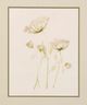 StyleCraft Blush Lace Beige/Light Green/Light Orange Wall Art-1