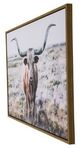 YHD Longhorn Wall Art-2