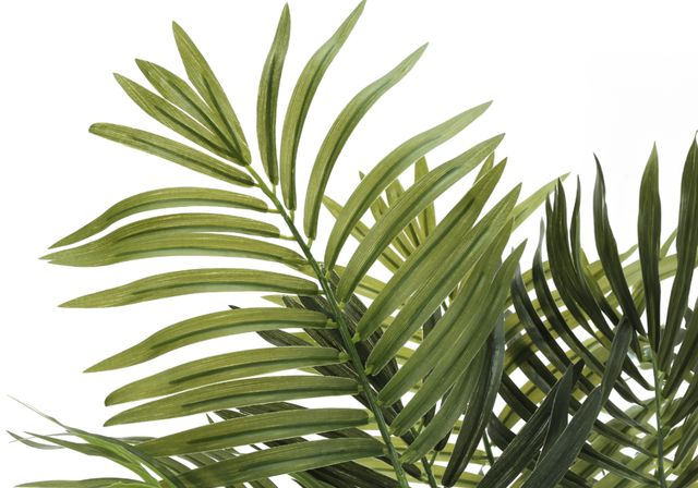 Monarch Specialties Inc. Black 47" Artificial Potted Areca Palm Tree-1
