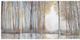 Olliix by Madison Park Multi-Colored Set of 3 Forest Reflections Gel Coated Canvas-0