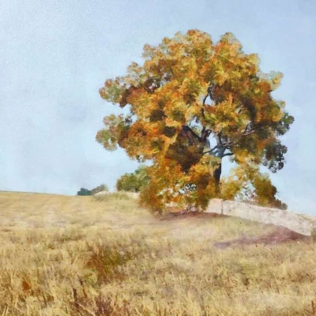 StyleCraft Autumns Tranquility Brown/Dark Yellow/Light Brown Wall Art-1