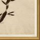 Magnolia Home by Joanna Gaines Pressed Floral II Wall Art-1