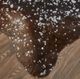 Feizy Ellyse Brown/Gray Rug-4