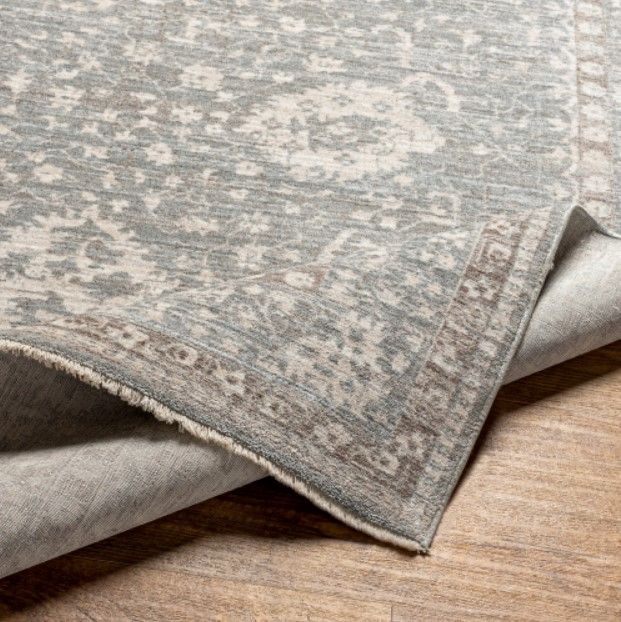 Surya Carlisle Ivory/Light Gray 4'x6' Area Rug-4