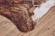 Feizy Bartlett Exotic-Light Small Cowhide-1