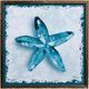 StyleCraft Perth Shells IV Blue/White Wall Art-0