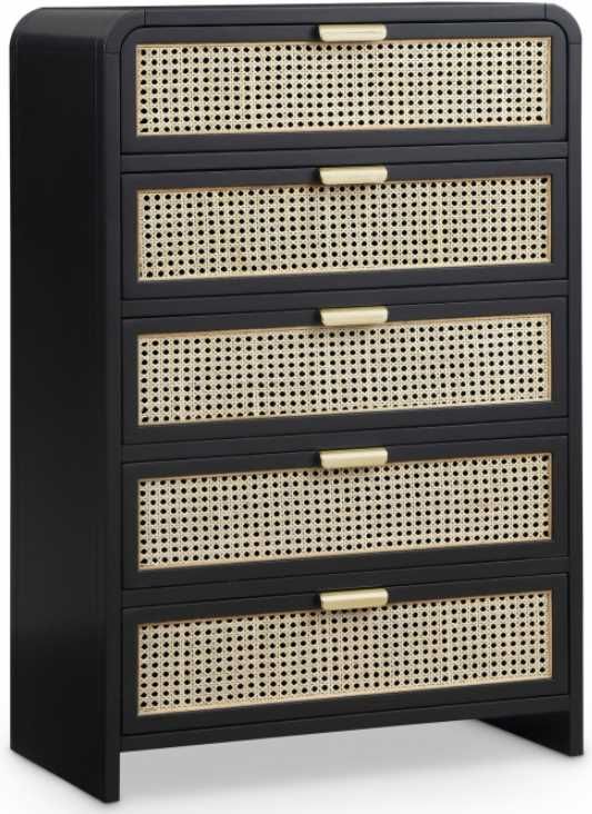 Meridian Furniture Sage Black Wood Chest-0