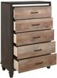 Mazin Furniture Danridge Two-Tone Chest-2