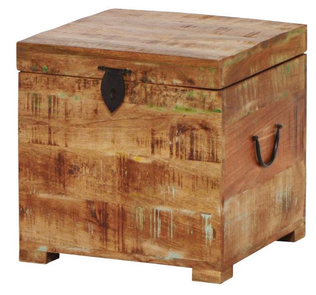 Jaipur Furniture Reclaimed Rustic Sawan Trunk-0