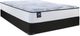 Sealy® Essentials Nessa 11" Wrapped Coil Medium Tight Top Twin XL Mattress-2