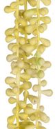 A & B Home 3-Strand Stem Light Green Bead Grass-1