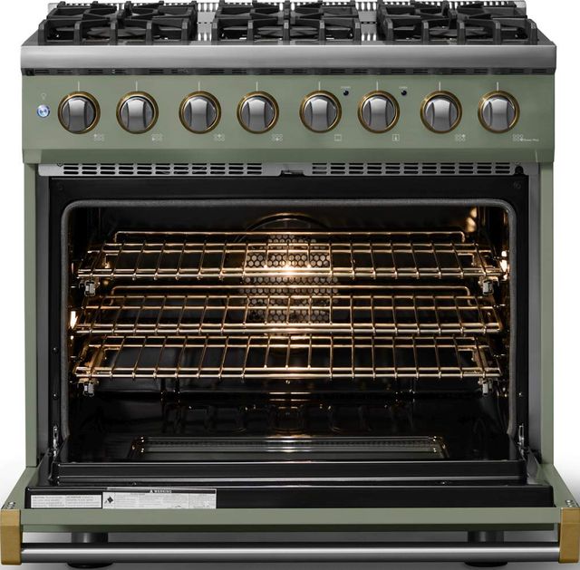 Viking® 5 Series 36" Eucalyptus Pro Style Dual Fuel (LP) Range with Brushed Brass Trim-1