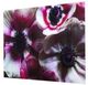YHD Anemone I Wall Art-2