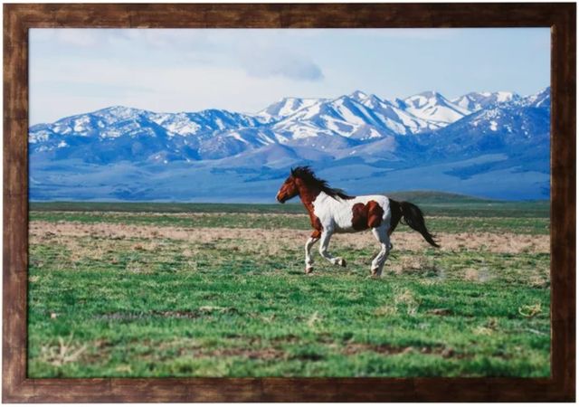 Stylecraft Solo Run Framed Print-0