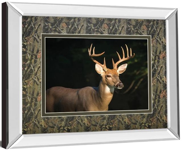 Classy Art White Tail Buck by Tony Campbell Mirror Framed Wall Art-1
