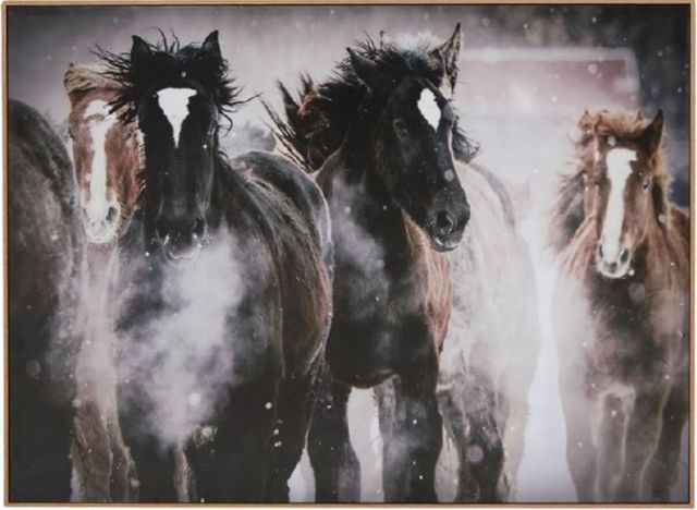 Signature Design by Ashley® Chaseburn Wall Art