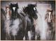 Signature Design by Ashley® Chaseburn Wall Art-0