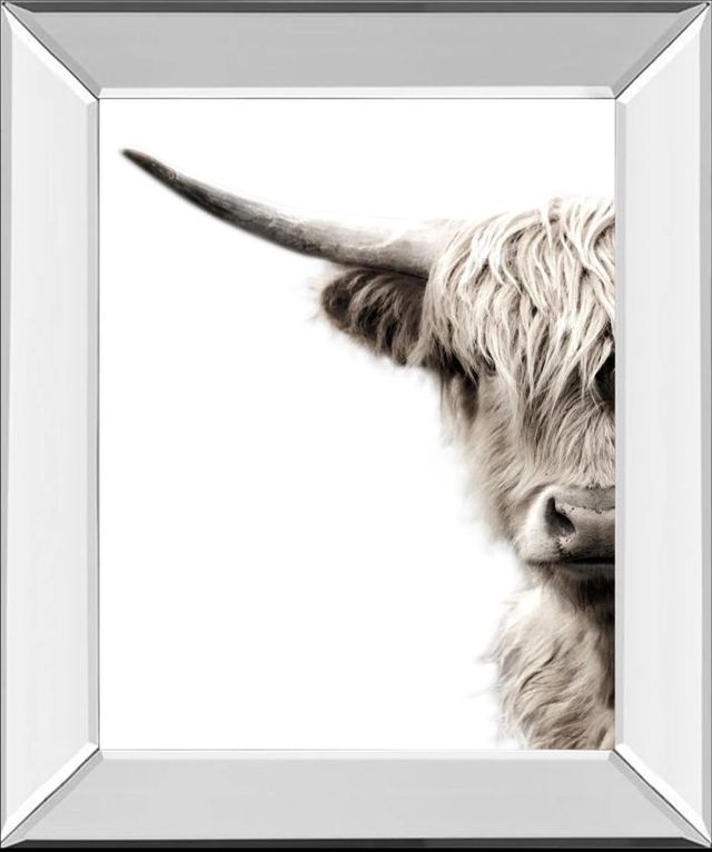 Classy Art Highland Cattle by Danita Delimont Mirror Framed Wall Art-0