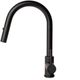 ZLINE Autograph Edition Matte Black Arthur Pull Down Single Handle Kitchen Faucet-1