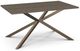 Amisco Customizable Asterisk Ash 60" Rectangular Table with Metal Stand-0