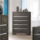 ACME Furniture Carine II Gray Chest-4