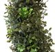A & B Home Green 5' Artificial Spiral Boxwood Topiary-2