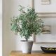 Uttermost® Marisol Gray/Green Potted Olive Plant-1
