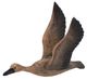 A & B Home Reeds 3-Piece Weathered Brown Bird Wall Decor Set-1
