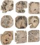 Uttermost® Bahati 9-Piece Light Bleached Wall Decor Set-3