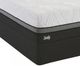 Sealy® Performance™ N13 Conform Wondrous 2.5 Gel Memory Foam Ultra Plush Smooth Top Twin XL Mattress-1