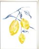 Classy Living Jennifer Goldberger Watercolor Lemons Wall Art-1