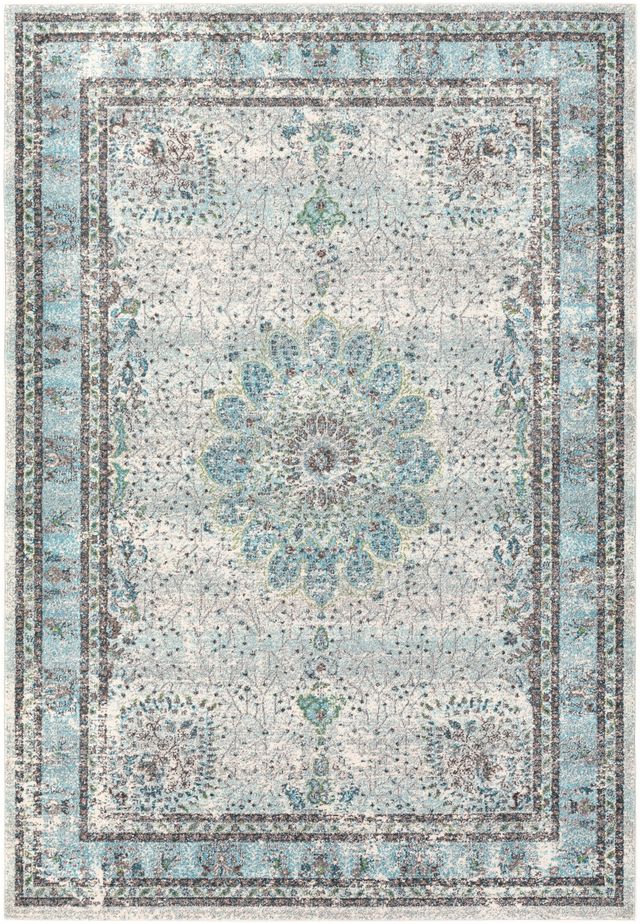 Surya Aberdine Blue 2'x3' Throw Rug-0