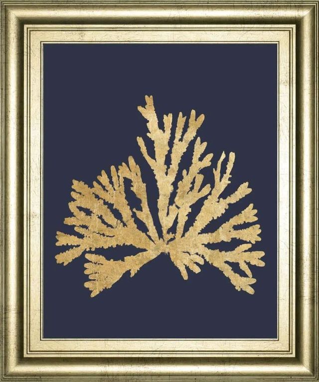 Classy Art Pacific Sea Mosses IV Indigo by Wild Apple Portfolio Wall Art-0