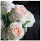 A & B Home Cream Real Touch Rose Stem-2